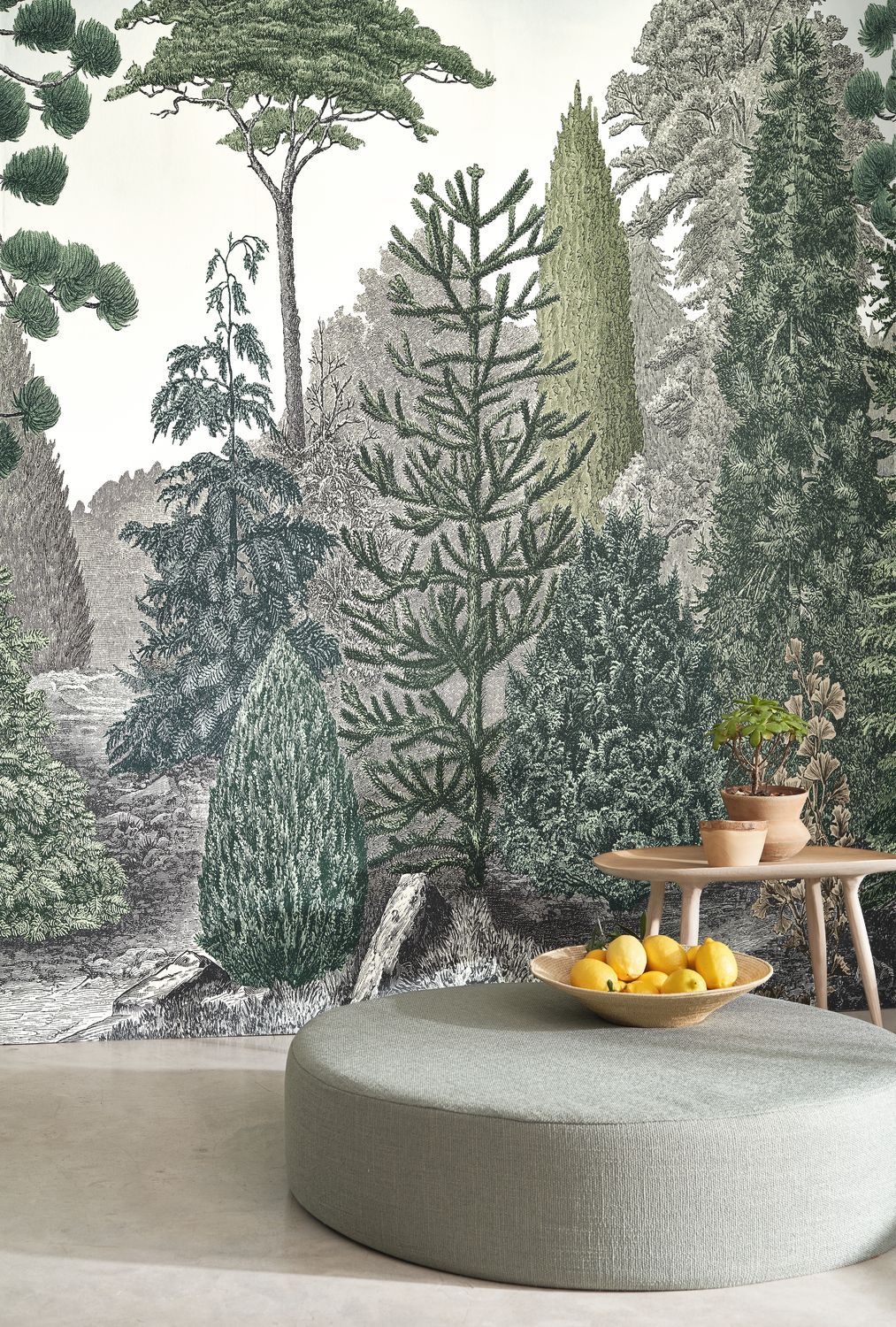 PINEDE Wallpanel