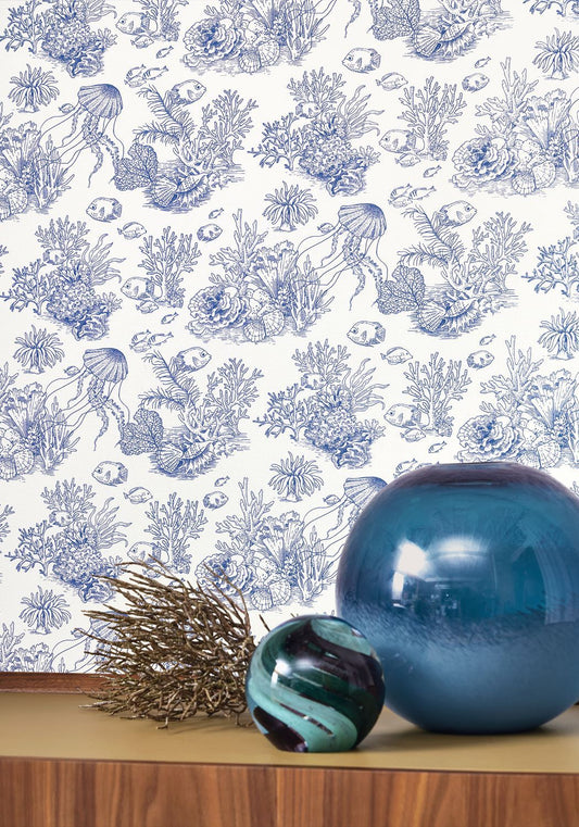 CÔTE SAUVAGE Wallpaper