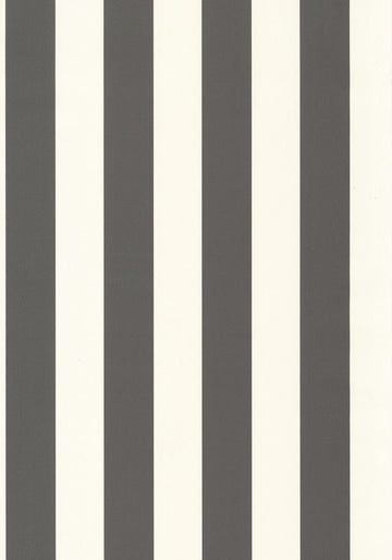 Coal