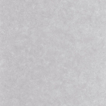 Turtledove Gray