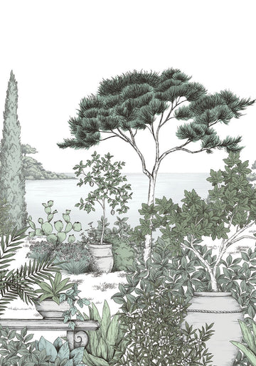 Eucalyptus Green